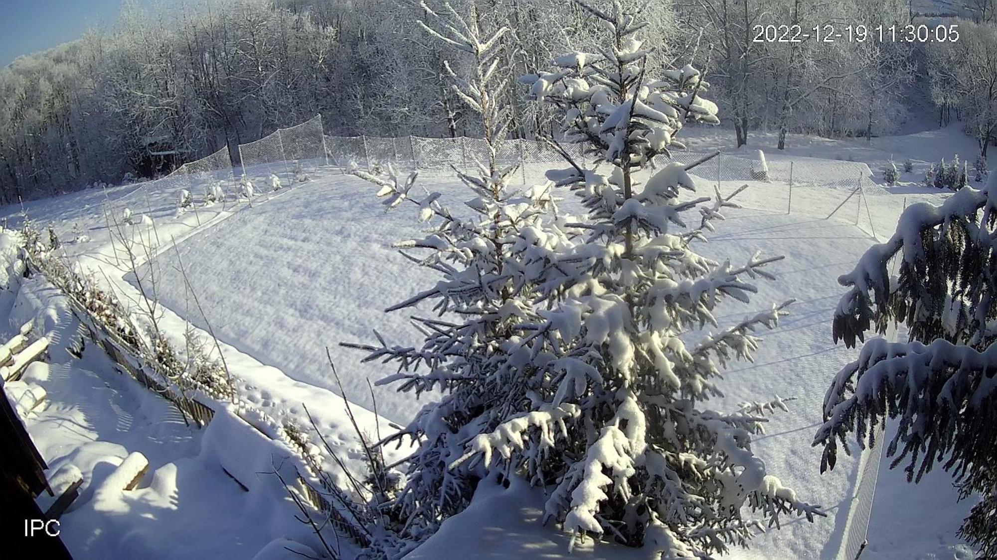 Noclegi Nad Czarna Orawa Podwilk Bagian luar foto