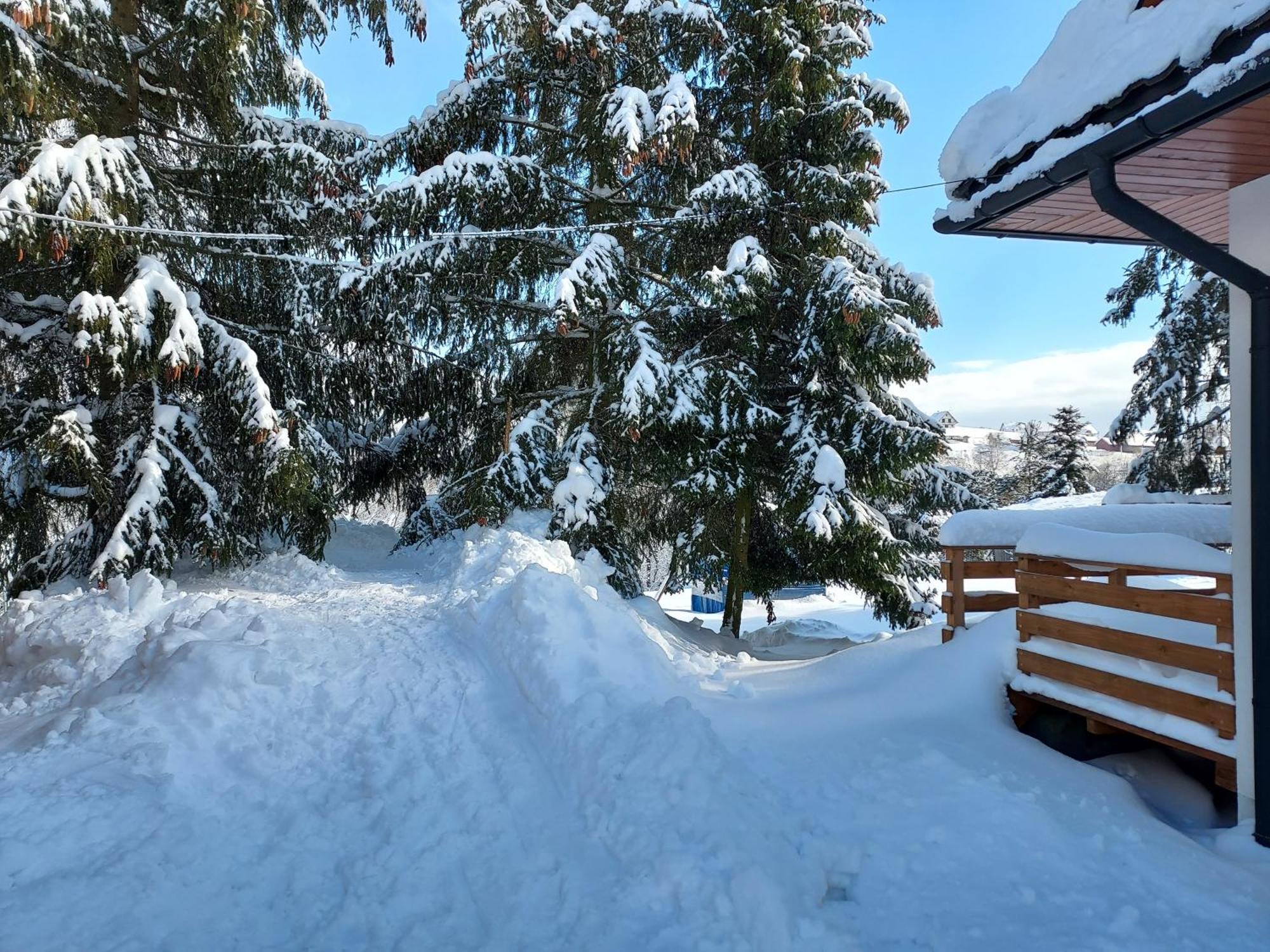 Noclegi Nad Czarna Orawa Podwilk Bagian luar foto
