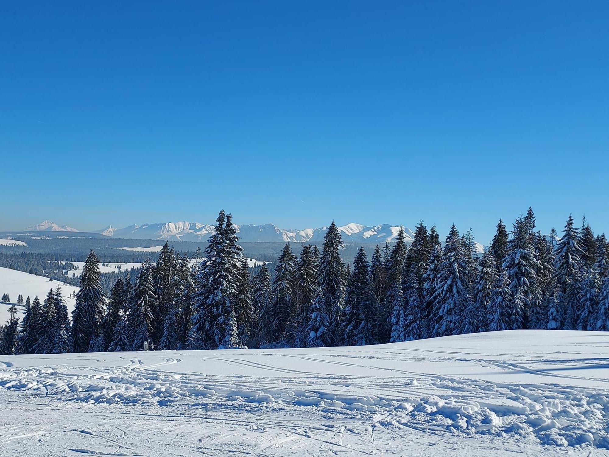 Noclegi Nad Czarna Orawa Podwilk Bagian luar foto